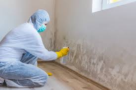 Best Mold Odor Removal Services  in Ecru, MS